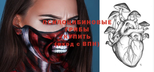 спиды Алзамай