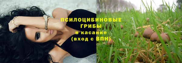 спиды Алзамай