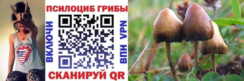 цена наркотик  Приозерск  Галлюциногенные грибы прущие грибы 